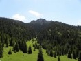 /album/maly-rozsutec/p6140079-medium-jpg/